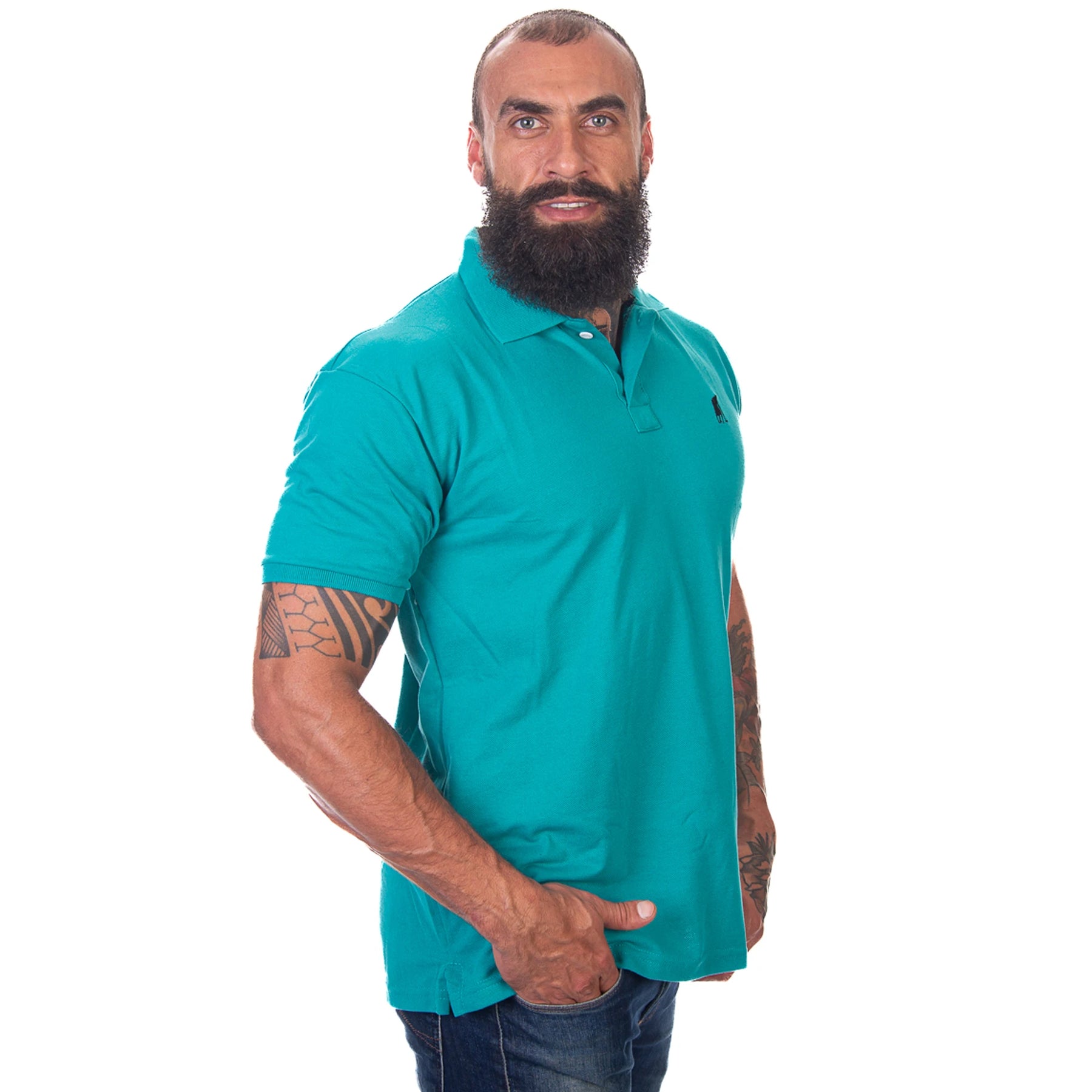 Kit 3 Camisas Masculina Polo Algodão